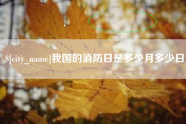 六盘水我国的消防日是多少月多少日