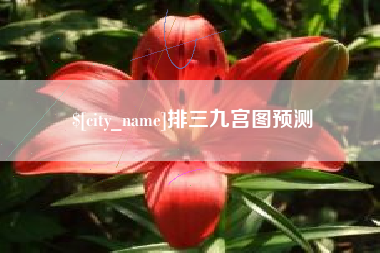 六盘水排三九宫图预测
