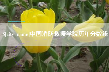 六盘水中国消防救援学院历年分数线