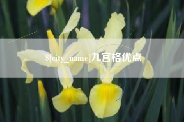 六盘水九宫格优点