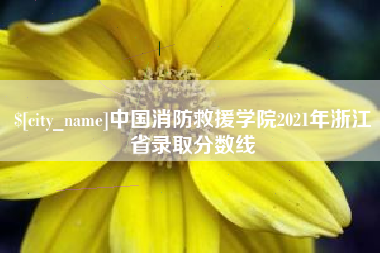 六盘水中国消防救援学院2021年浙江省录取分数线