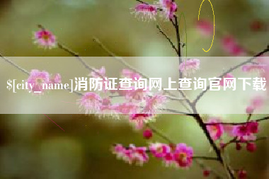 六盘水消防证查询网上查询官网下载
