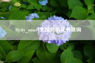 六盘水全国消防证书查询