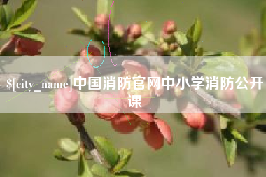 六盘水中国消防官网中小学消防公开课