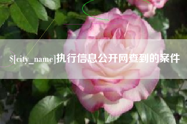 六盘水执行信息公开网查到的案件