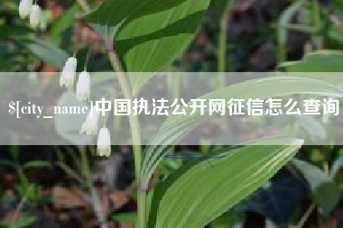 六盘水中国执法公开网征信怎么查询