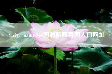 六盘水中国消防网官网入口网址