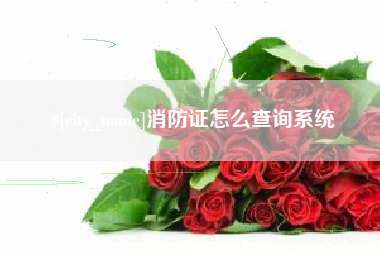 六盘水消防证怎么查询系统