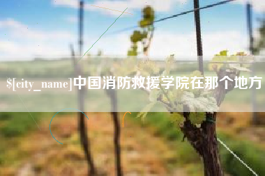 六盘水中国消防救援学院在那个地方