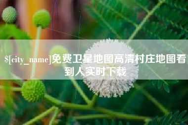 六盘水免费卫星地图高清村庄地图看到人实时下载