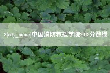 六盘水中国消防救援学院2018分数线