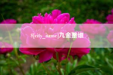 六盘水九金是谁