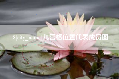 六盘水九宫格位置代表成员图