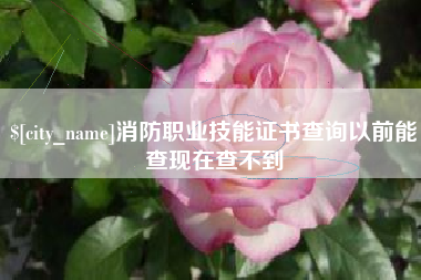 六盘水消防职业技能证书查询以前能查现在查不到