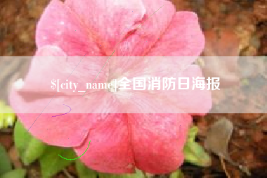 六盘水全国消防日海报
