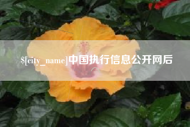 六盘水中国执行信息公开网后