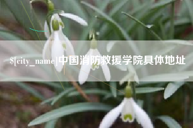 六盘水中国消防救援学院具体地址