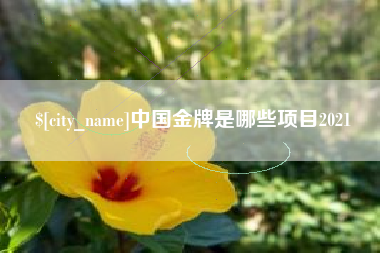 六盘水中国金牌是哪些项目2021