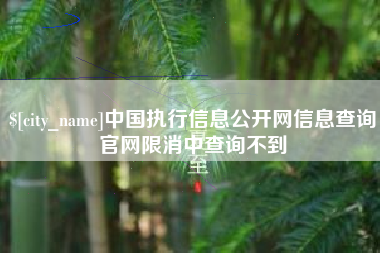 六盘水中国执行信息公开网信息查询官网限消中查询不到