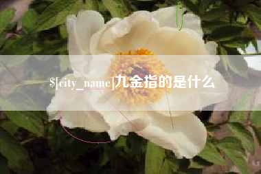 六盘水九金指的是什么