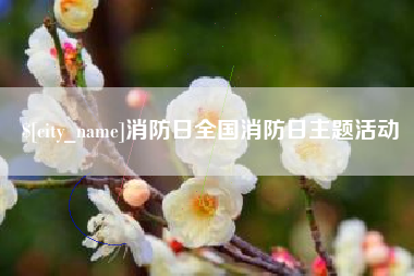 六盘水消防日全国消防日主题活动