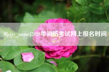 六盘水2020年消防考试网上报名时间