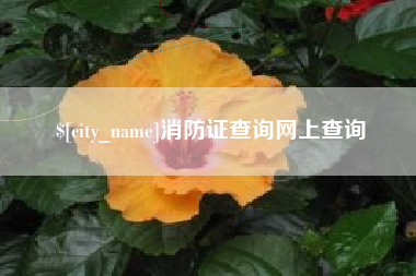 六盘水消防证查询网上查询