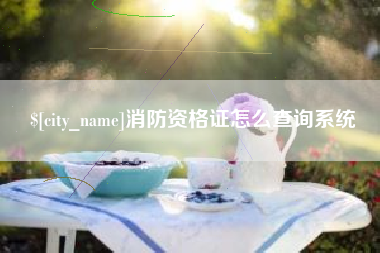 六盘水消防资格证怎么查询系统
