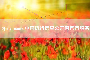 六盘水中国执行信息公开网官方服务