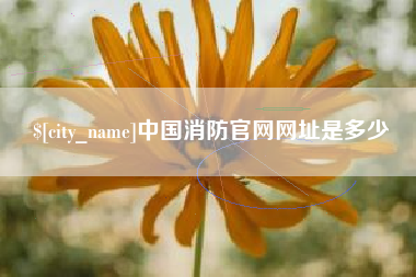 六盘水中国消防官网网址是多少