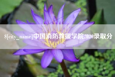 六盘水中国消防救援学院2020录取分