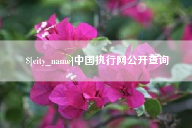 六盘水中国执行网公开查询