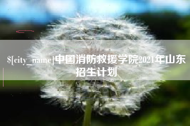 六盘水中国消防救援学院2021年山东招生计划