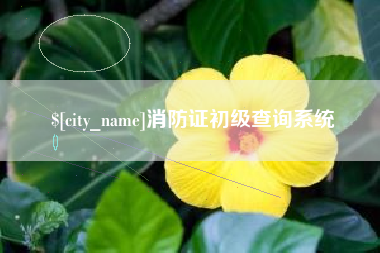 六盘水消防证初级查询系统