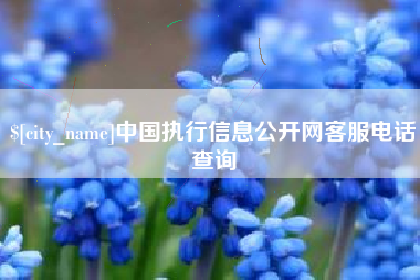 六盘水中国执行信息公开网客服电话查询