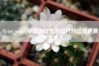 六盘水中国执行信息公开网信息更新时间是多久