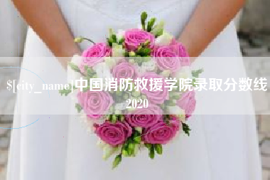 六盘水中国消防救援学院录取分数线2020