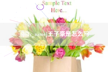 六盘水王子豪是怎么写
