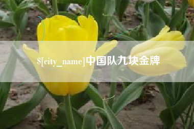 六盘水中国队九块金牌