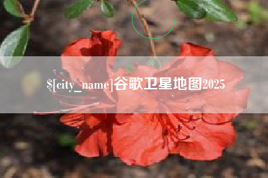 六盘水谷歌卫星地图2025