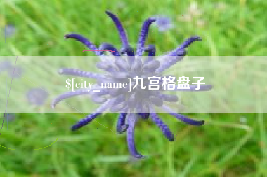 六盘水九宫格盘子