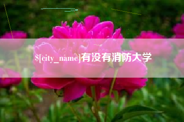 六盘水有没有消防大学