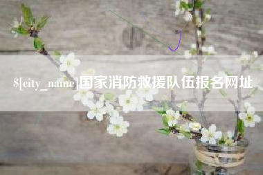 六盘水国家消防救援队伍报名网址