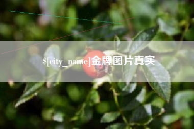 六盘水金牌图片真实