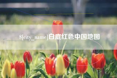 六盘水白底红色中国地图