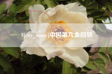 六盘水中国第九金回放