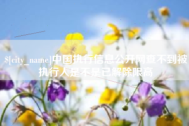六盘水中国执行信息公开网查不到被执行人是不是已解除限高