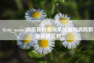 六盘水消防官网查询系统查询消防职业资格证书