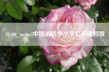 六盘水中国消防中小学公开课回放