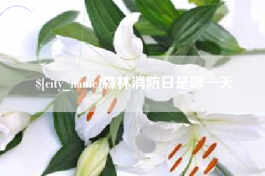 六盘水森林消防日是哪一天